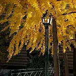 Appartamento Douro - A Casinha Da Ana