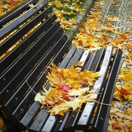 Douro - A Casinha Da Ana Appartamento Vila Real