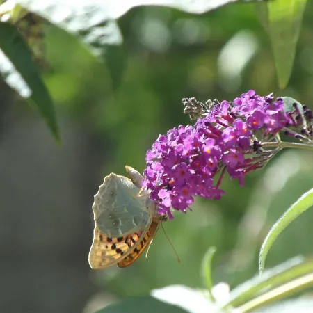 Douro - A Casinha Da Ana Apartment *