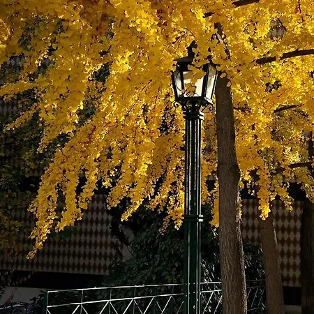 Apartment Douro - A Casinha Da Ana