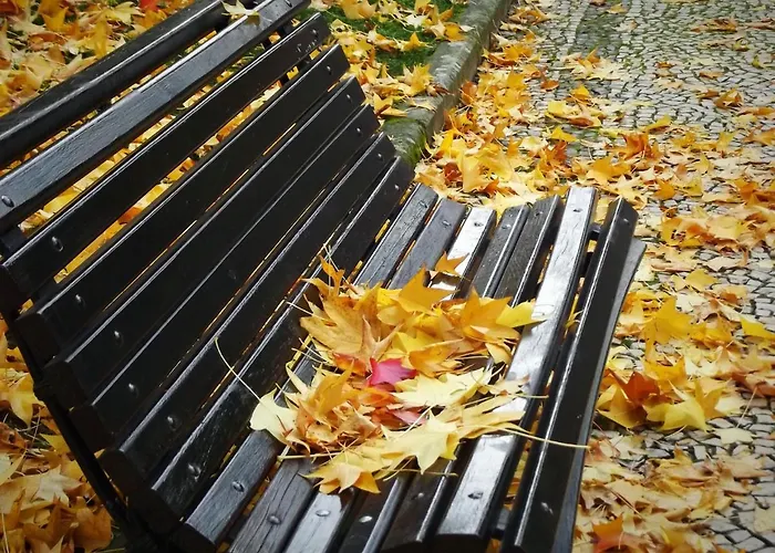 Douro - A Casinha Da Ana Appartamento Vila Real