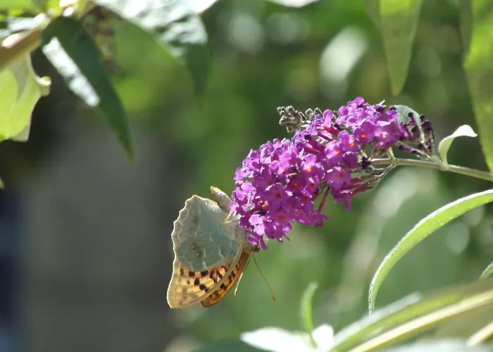 Douro - A Casinha Da Ana Apartamento *