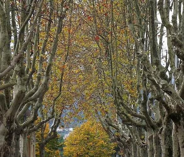 Douro - A Casinha Da Ana 아파트 빌라레알