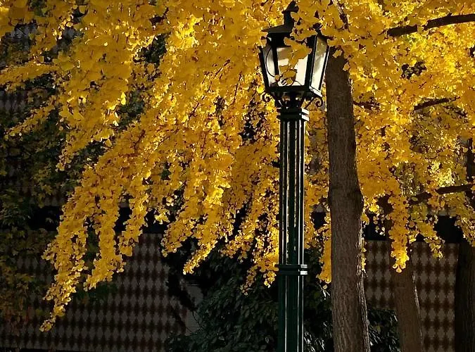 Apartment Douro - A Casinha Da Ana